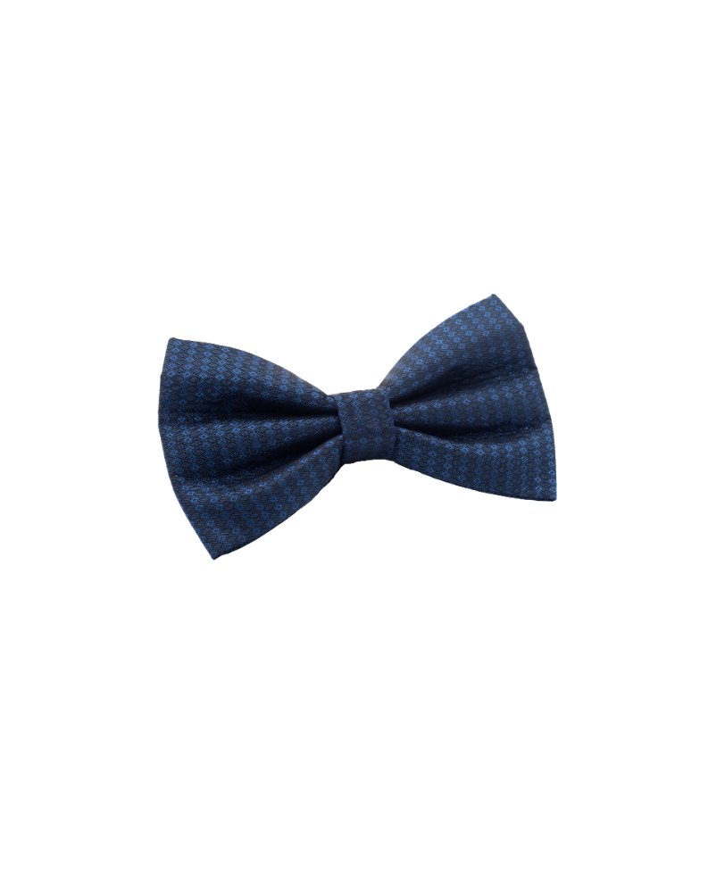 Papion „De seară”